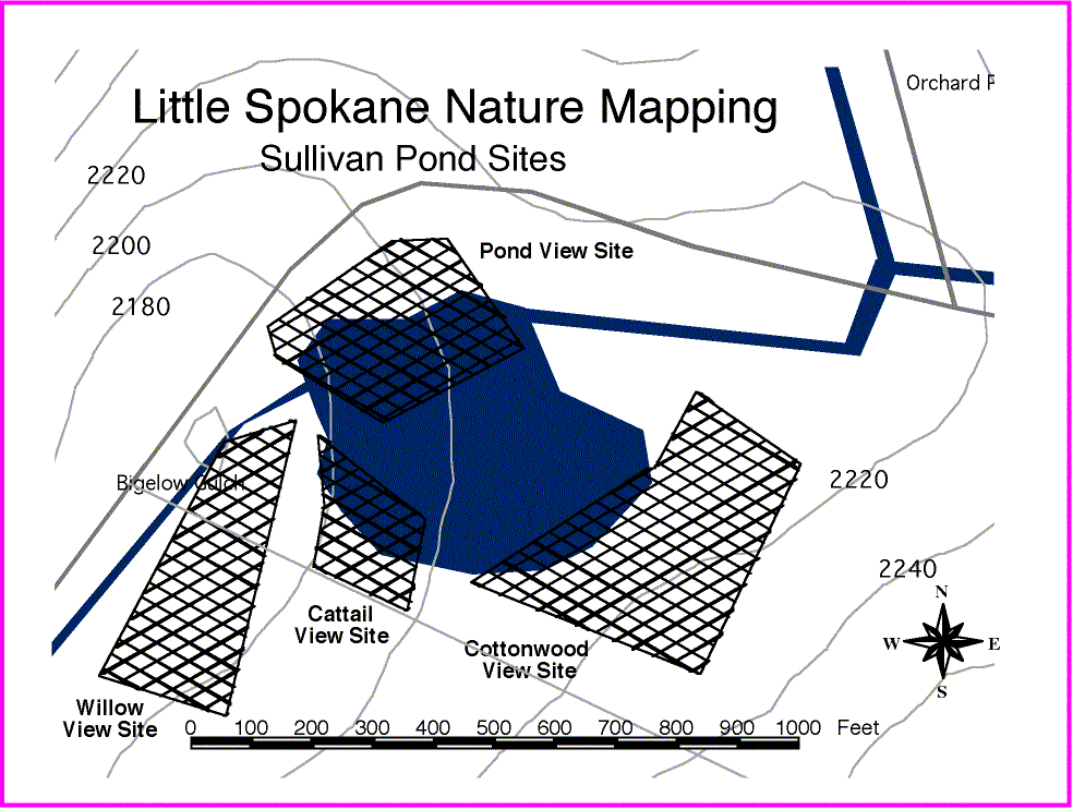 Sullivan Pond Sites